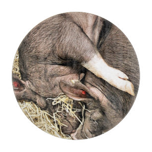 KLEINE VARKENS SNIJPLANK