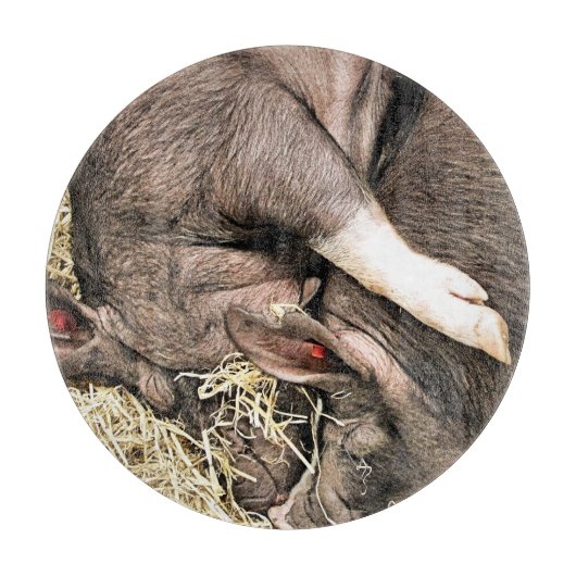 KLEINE VARKENS SNIJPLANK (Voorkant)