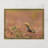 kleine vent briefkaart (Voorkant)