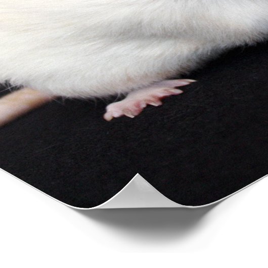 Kleine ventilator - Rat Poster (Hoek)