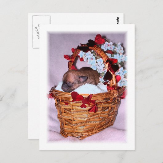 Kleine verrassingen briefkaart (Voorkant / Achterkant)