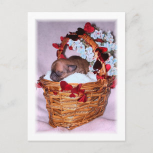 Kleine verrassingen briefkaart