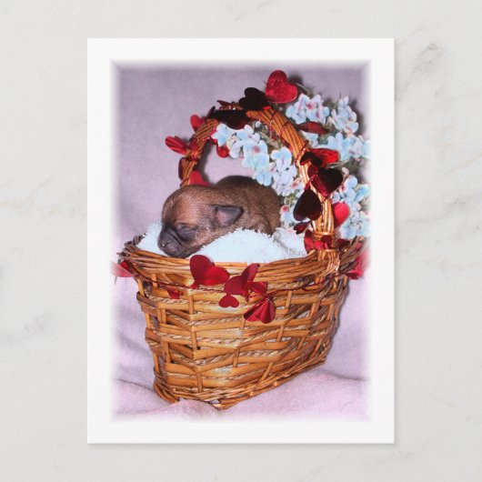 Kleine verrassingen briefkaart (Voorkant)