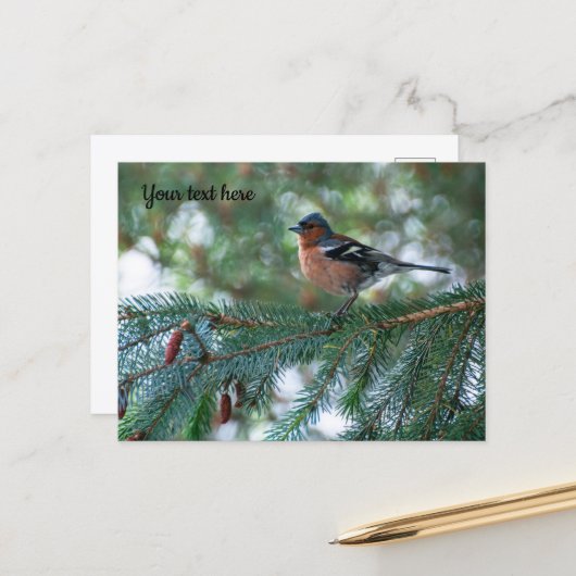 Kleine vink ansichtkaart briefkaart (Voorkant / Achterkant in situ)