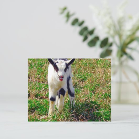 Kleine Vlek De Geit Kind Briefkaart (Staand voorkant)