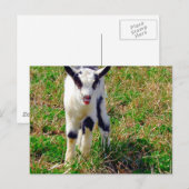 Kleine Vlek De Geit Kind Briefkaart (Voorkant / Achterkant)