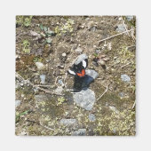 kleine vlindermagneet magneet (Voorkant)