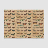  kleine vlinders Verzameld papier ontkoppelen (Voorkant)