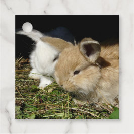 Kleine vloedbunnies bedankjes labels