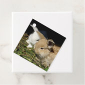 Kleine vloedbunnies bedankjes labels (In situ)