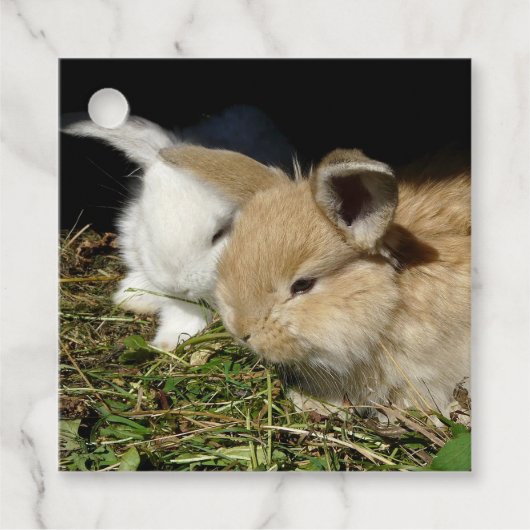 Kleine vloedbunnies bedankjes labels (Voorkant)