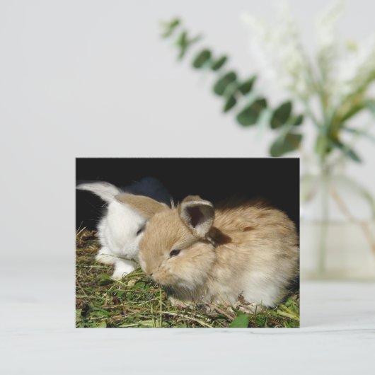 Kleine vloedbunnies briefkaart (Staand voorkant)