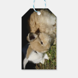 Kleine vloedbunnies cadeaulabel