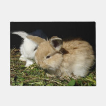 Kleine vloedbunnies