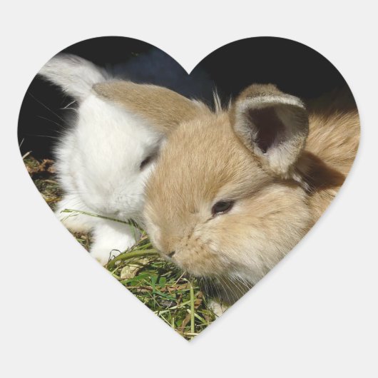 Kleine vloedbunnies hart sticker (Voorkant)