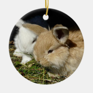 Kleine vloedbunnies keramisch ornament