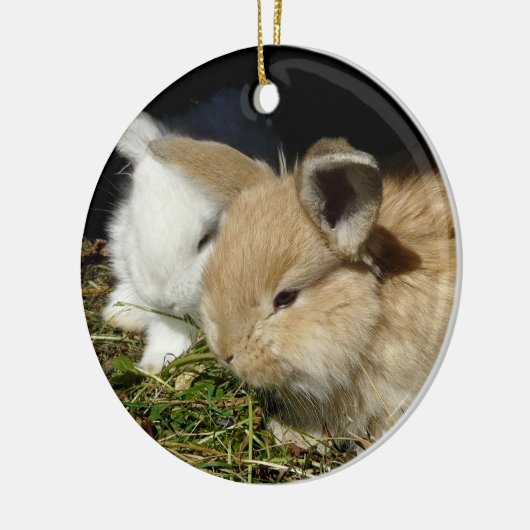 Kleine vloedbunnies keramisch ornament (Links)