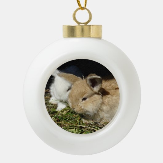 Kleine vloedbunnies keramische bal ornament (Voorkant)