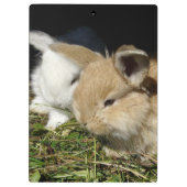 Kleine vloedbunnies klembord (Achterkant)