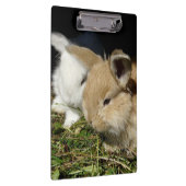 Kleine vloedbunnies klembord (Rechts)