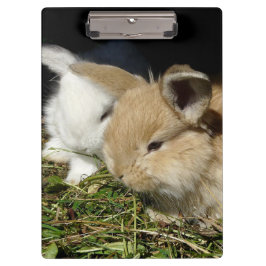 Kleine vloedbunnies klembord