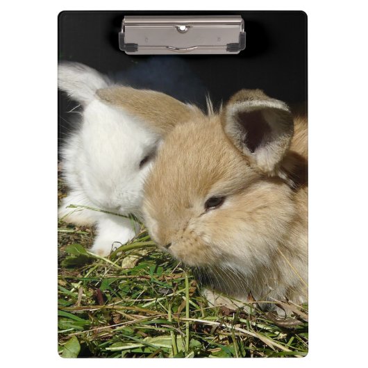 Kleine vloedbunnies klembord (Voorkant)