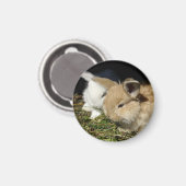 Kleine vloedbunnies magneet (Voorkant / Achterkant)