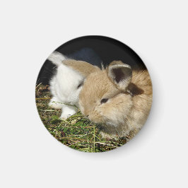 Kleine vloedbunnies magneet