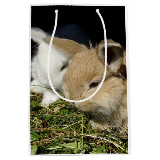 Kleine vloedbunnies medium cadeauzakje