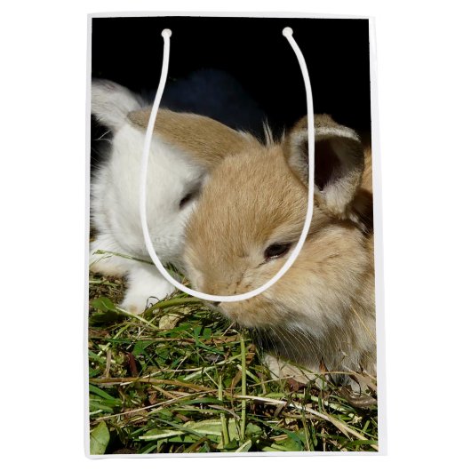 Kleine vloedbunnies medium cadeauzakje (Voorkant)