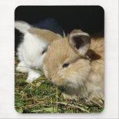 Kleine vloedbunnies muismat (Voorkant)