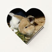 Kleine vloedbunnies notitieboek (Achterkant)