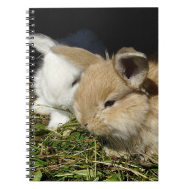 Kleine vloedbunnies notitieboek