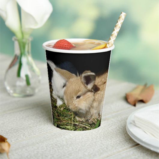 Kleine vloedbunnies papieren bekers (Insitu)