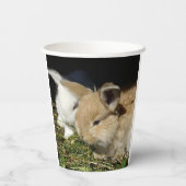 Kleine vloedbunnies papieren bekers (Achterkant)