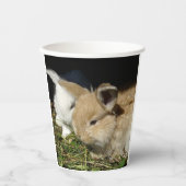 Kleine vloedbunnies papieren bekers (Voorkant)