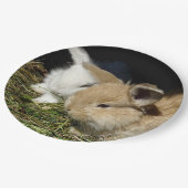 Kleine vloedbunnies papieren bordje (Gekanteld)