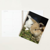 Kleine vloedbunnies planner (Display)