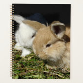 Kleine vloedbunnies planner (Voorkant)