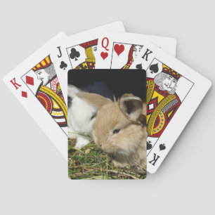 Kleine vloedbunnies pokerkaarten