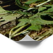 Kleine vloedbunnies poster (Hoek)