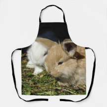 Kleine vloedbunnies