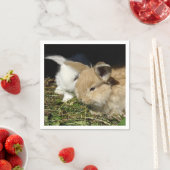 Kleine vloedbunnies servet (Insitu)