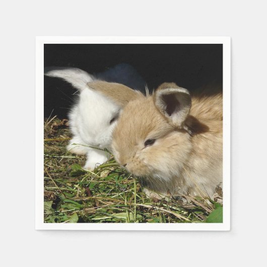 Kleine vloedbunnies servet (Voorkant)