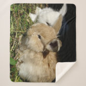 Kleine vloedbunnies sherpa deken (Voorkant)