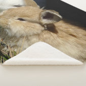 Kleine vloedbunnies sherpa deken (3/4)