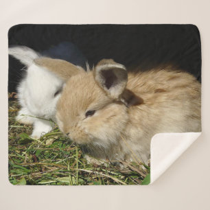 Kleine vloedbunnies sherpa deken