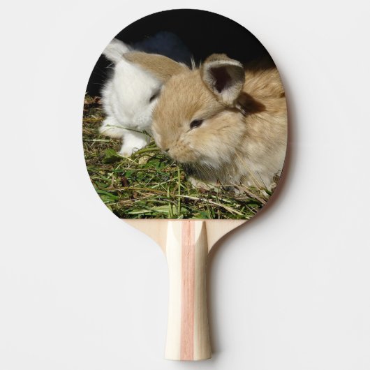 Kleine vloedbunnies tafeltennisbatje (Voorkant)