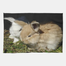 Kleine vloedbunnies