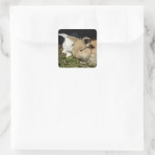 Kleine vloedbunnies vierkante sticker (Tas)